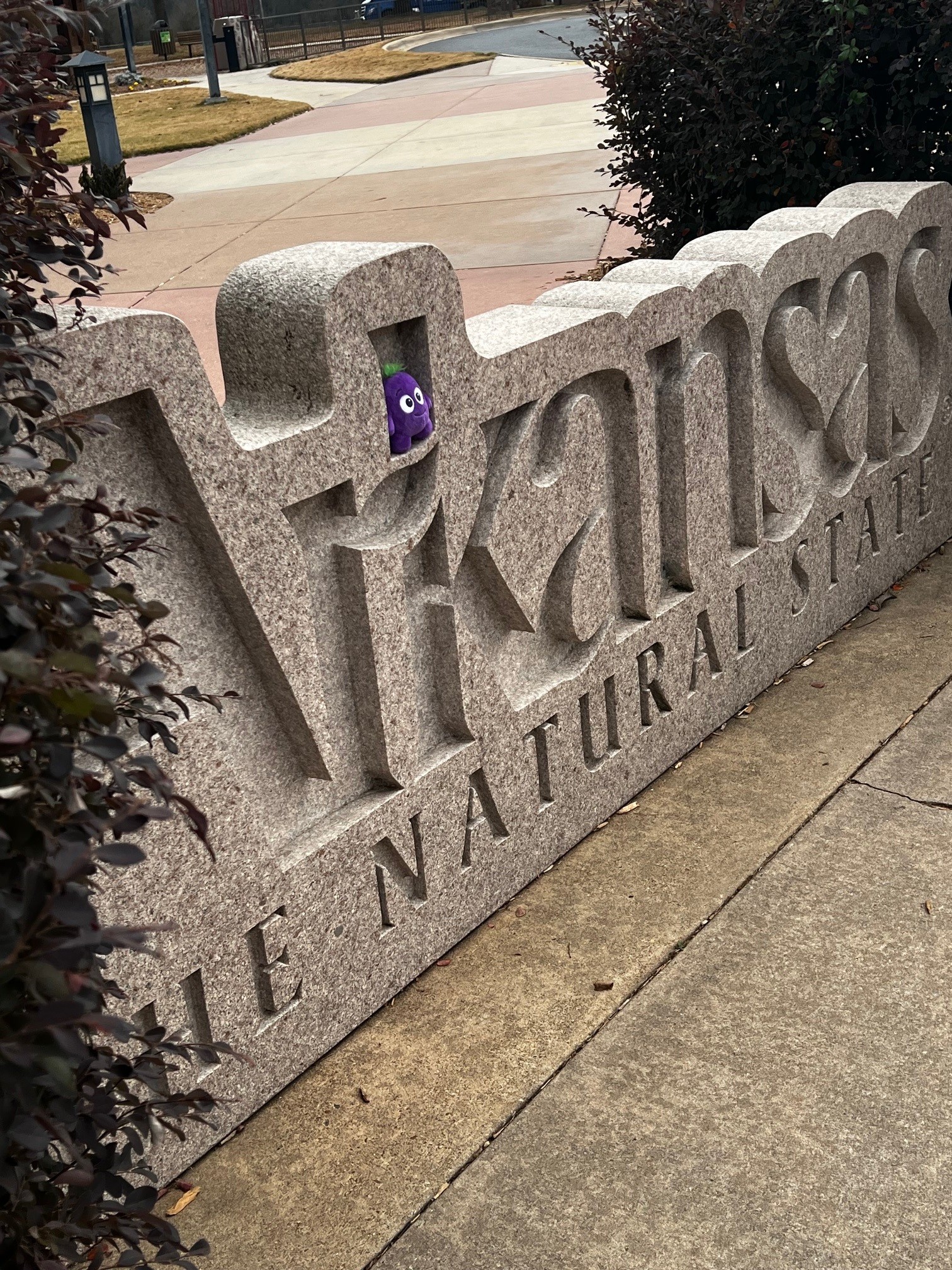 Belong Here: Building Culture and Connection