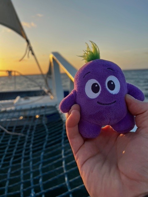 Person sitting in a throne style chair with crown royal branding.