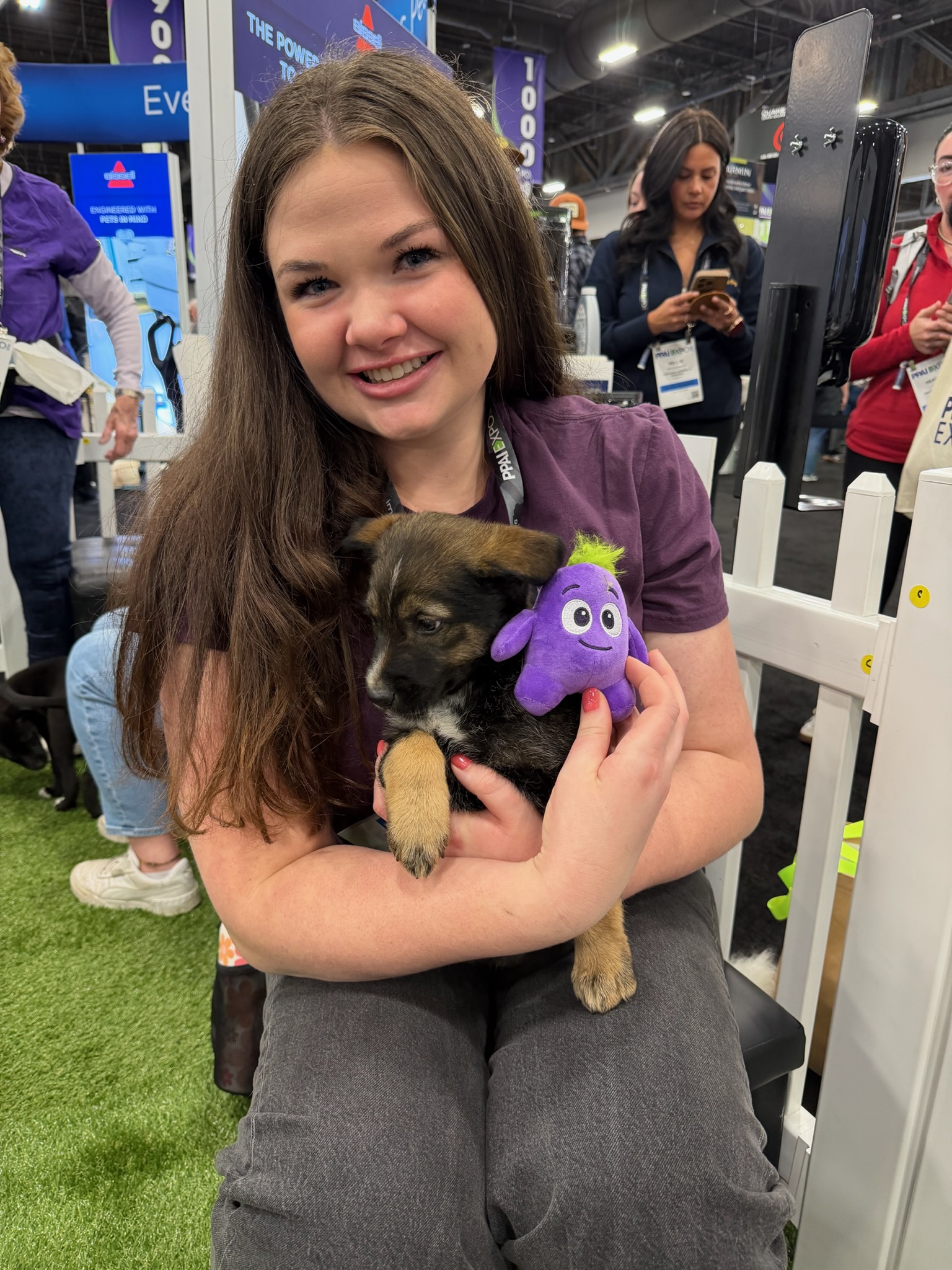 Always On: Everyday Brand Visibility